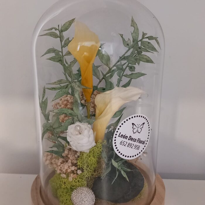 REGALAR FLORES EN LEÓN