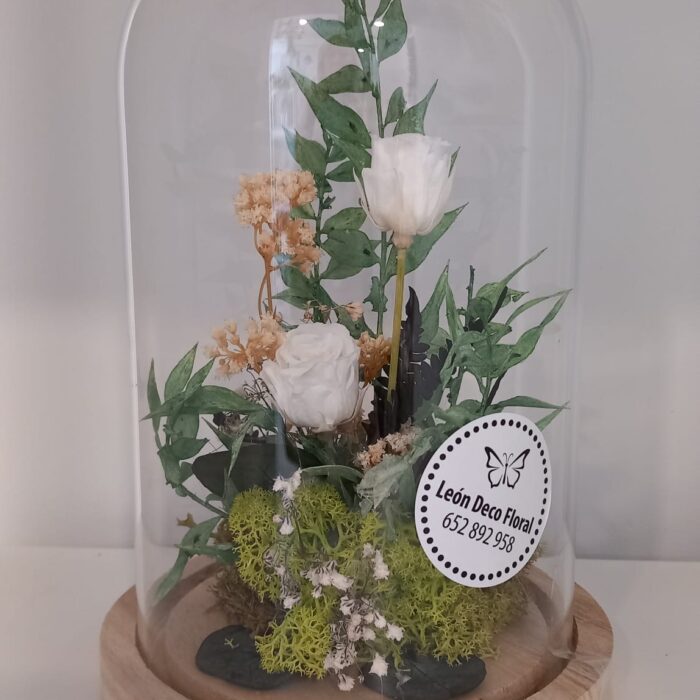 REGALAR FLORES EN LEÓN