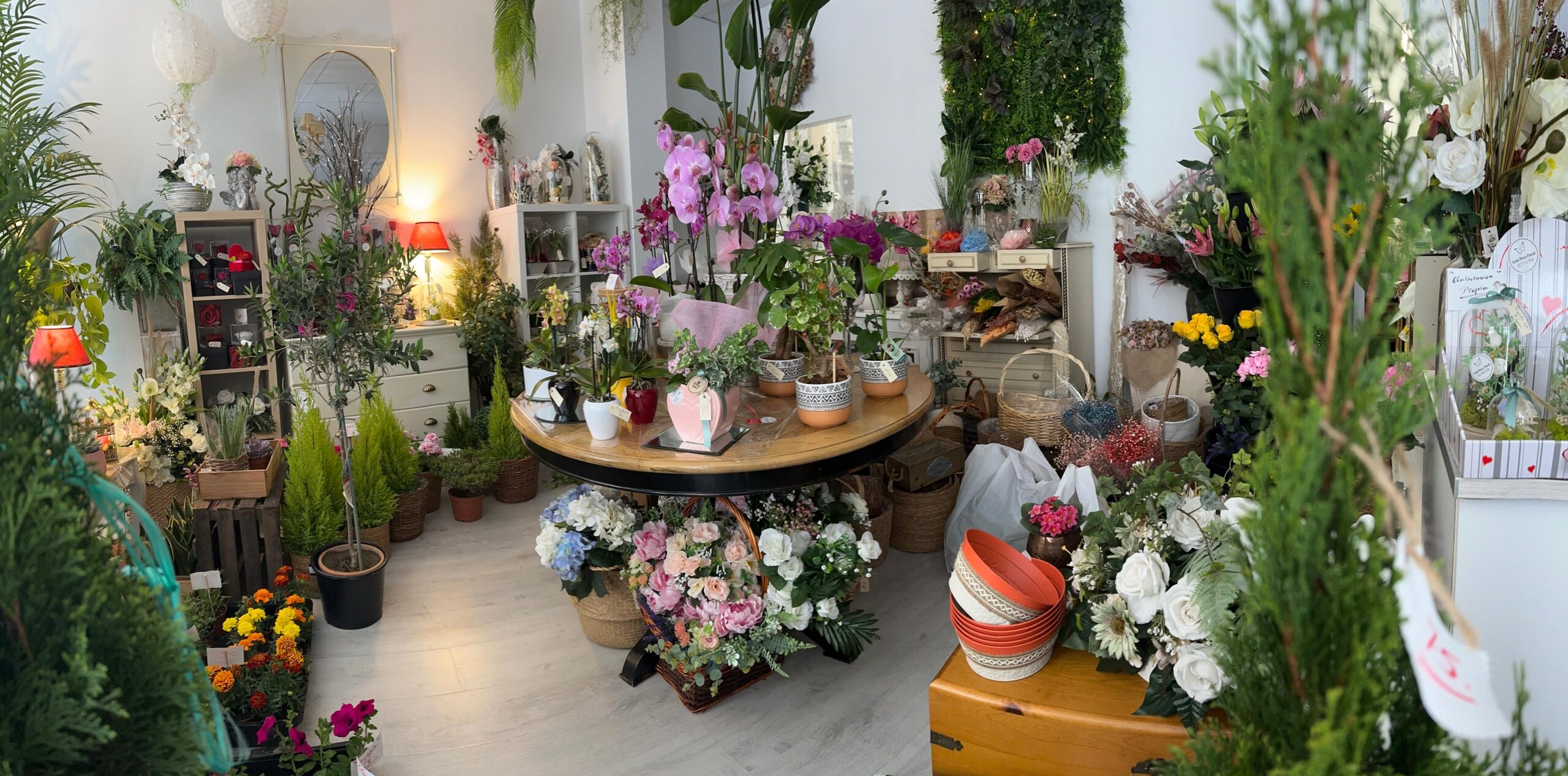 Floristería