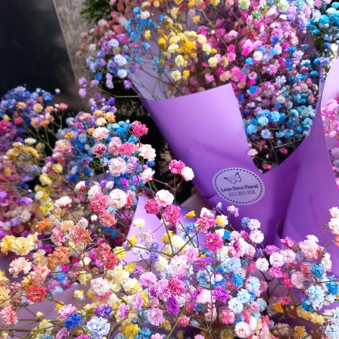 RAMO DE PANÍCULA DE COLORES