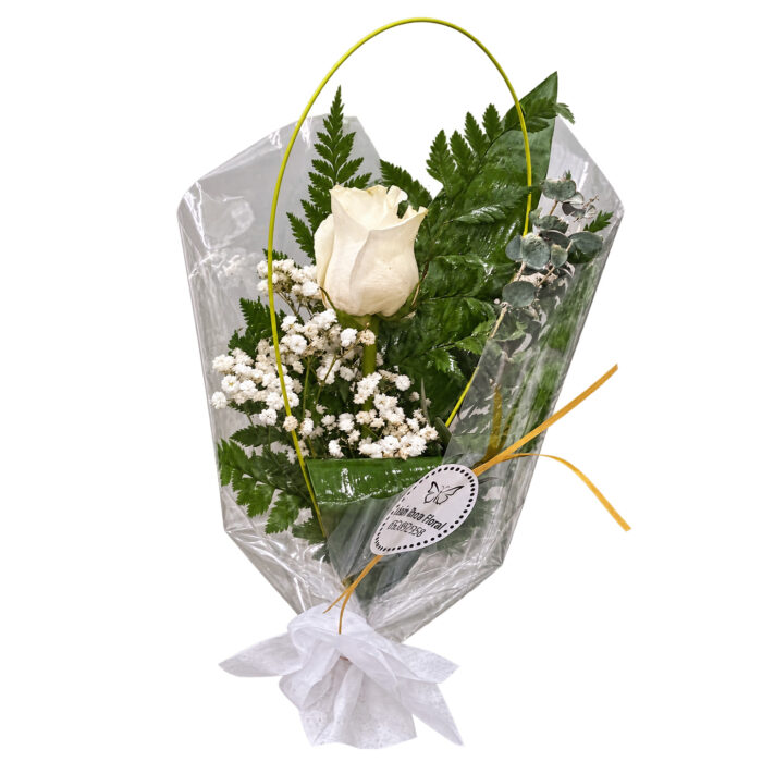 ROSA BLANCA